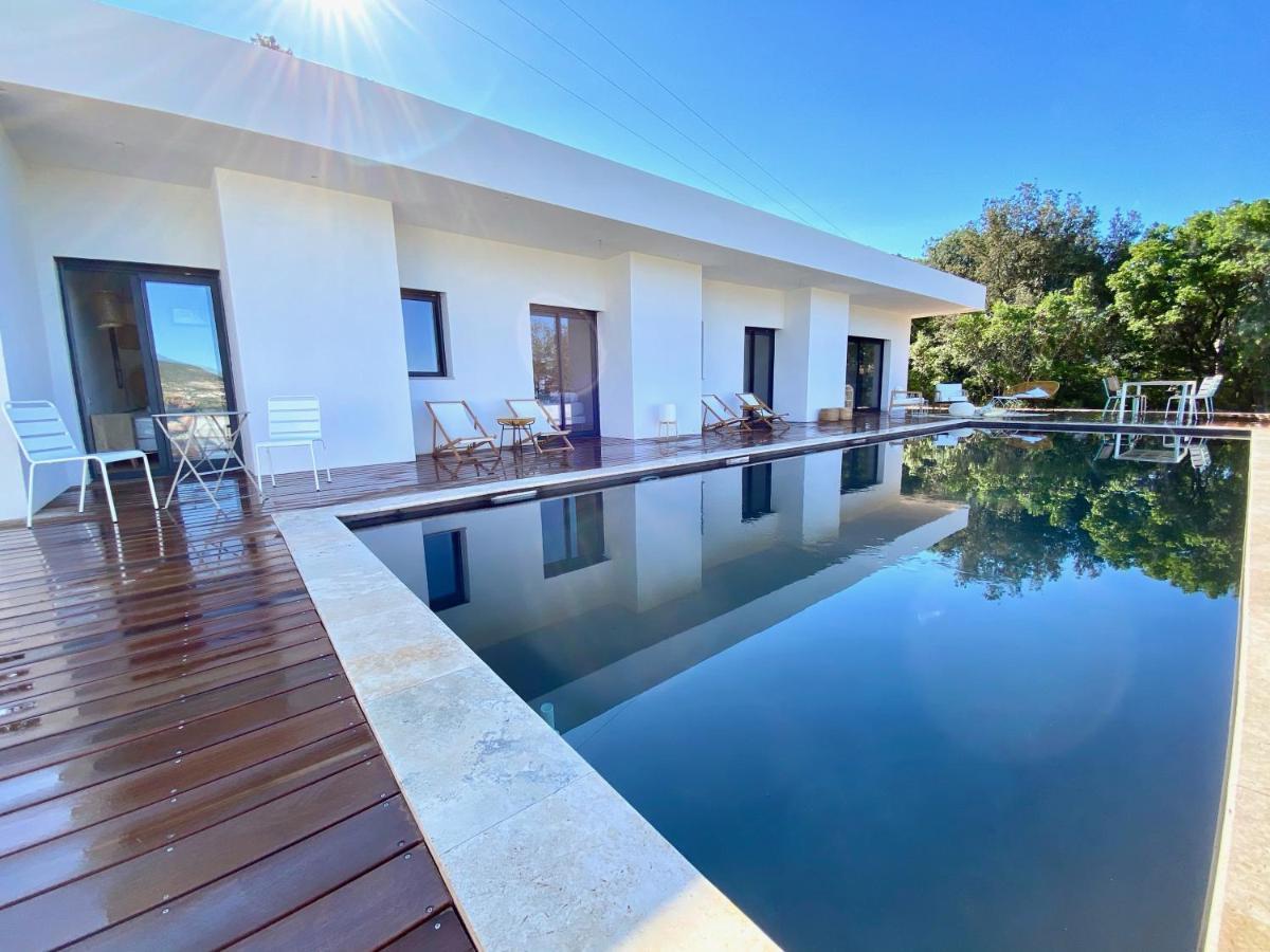 Villas De Standing Avec Magnifique Vue Mer Et Piscines Privees, Sagone Sagone  Exteriér fotografie